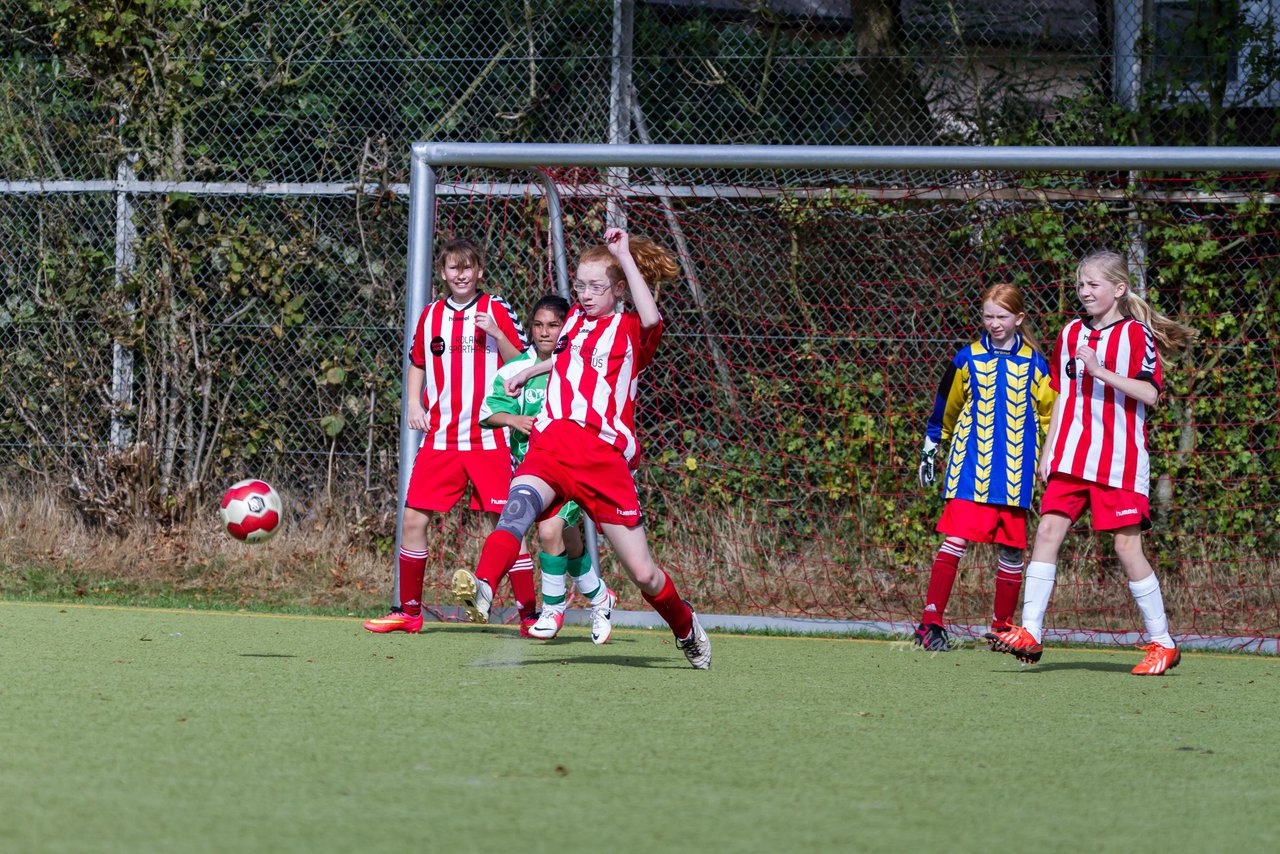 Bild 332 - C-Juniorinnen Kaltenkirchener TS - TuS Tensfeld : Ergebnis: 7:0